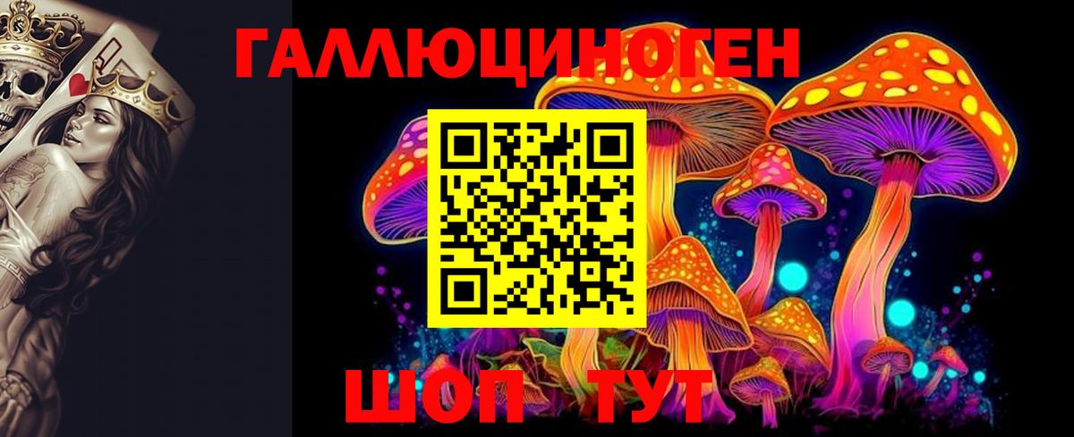 Псилоцибиновые грибы прущие грибы  Вход с VPN  Нурлат 